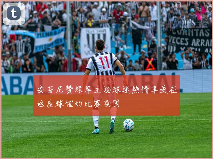 安芬尼赞绿军主场球迷热情享受在这座球馆的比赛氛围