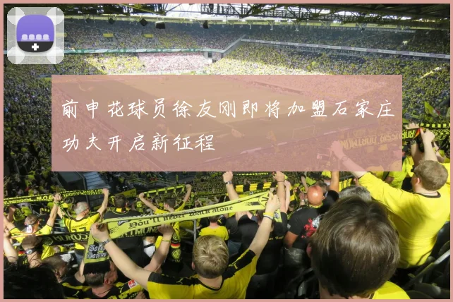 前申花球员徐友刚即将加盟石家庄功夫开启新征程