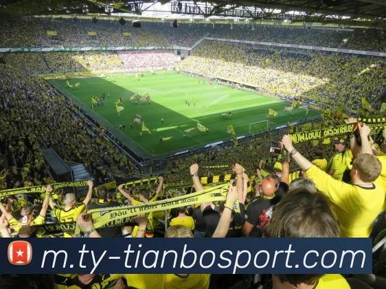 天博足球服务体系